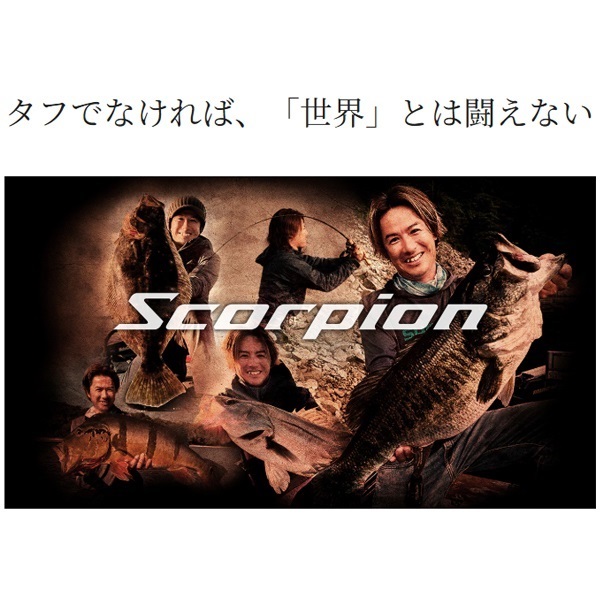 19 SCORPION